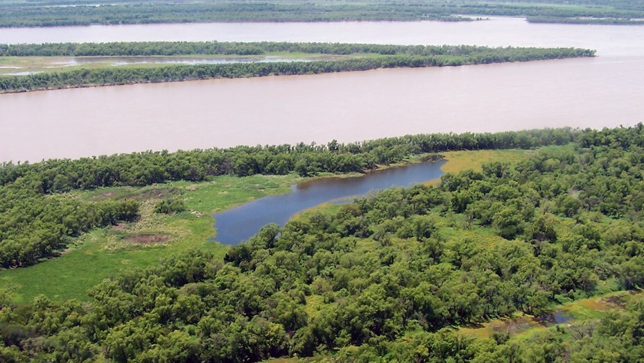 Imagen de El impacto ecol&oacute;gico de la quema en las islas