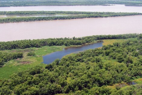 Imagen de El impacto ecológico de la quema en las islas