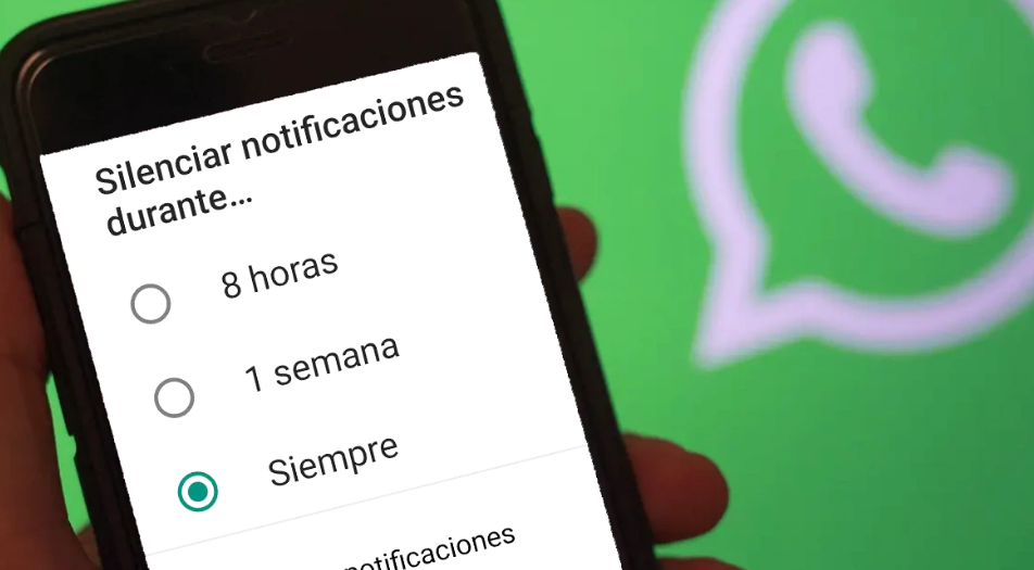 Imagen de WhatsApp: Ahora se puede silenciar "siempre"