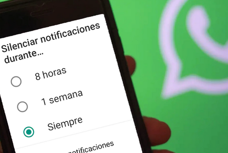 Imagen de WhatsApp: Ahora se puede silenciar "siempre"