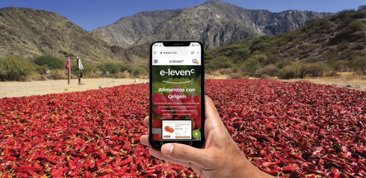 Imagen de E-LEVENC, la primera vidriera virtual agroalimentaria