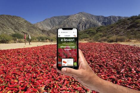 Imagen de E-LEVENC, la primera vidriera virtual agroalimentaria