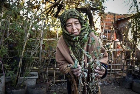 Ruperta P&eacute;rez - Subsecretar&iacute;a de Comunicaci&oacute;n Social (Silvio Moriconi)