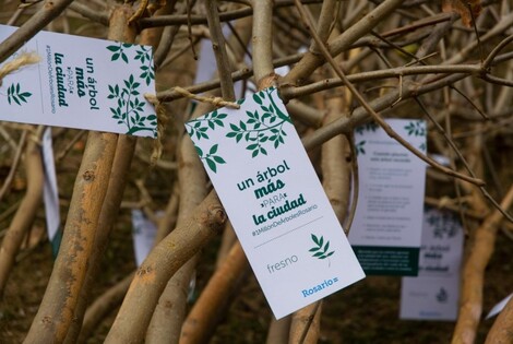 Rosario celebra el Mes del Árbol con múltiples actividades - Juan Pablo Allegue