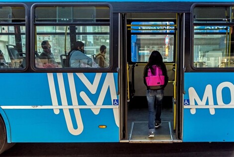 Imagen de El transporte urbano y Mi bici tu bici serán gratuitos