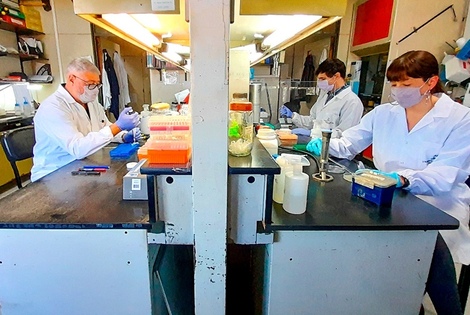 Imagen de C&oacute;mo act&uacute;a la vacuna argentina de alta efectividad