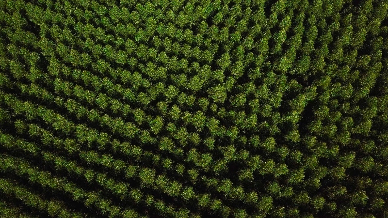 Imagen de Gerdau reducir&aacute; las emisiones de gases de efecto invernadero