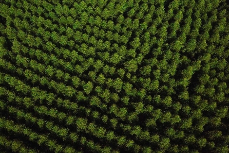 Imagen de Gerdau reducirá las emisiones de gases de efecto invernadero Imagen de Gerdau reducirá las emisiones de gases de efecto invernadero