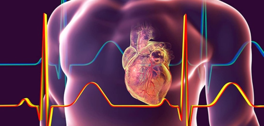 Imagen de Informe sobre Diabetes 2 y Riesgo Cardiovascular
