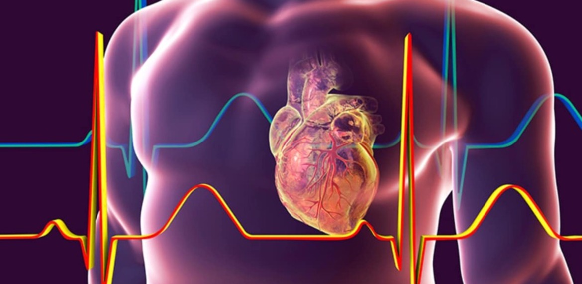 Imagen de Informe sobre Diabetes 2 y Riesgo Cardiovascular