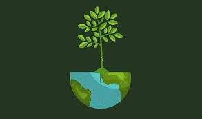 Imagen de Conversatorios Salud y Ambiente: mitigar el cambio climático desde el consultorio Imagen de Conversatorios Salud y Ambiente: mitigar el cambio climático desde el consultorio