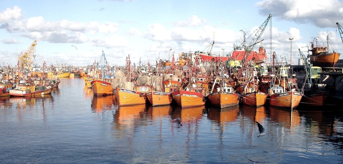 Imagen de Argentina volverá a exportar camarones y langostinos Imagen de Argentina volverá a exportar camarones y langostinos