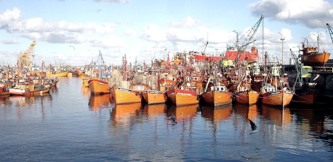 Imagen de Argentina volverá a exportar camarones y langostinos Imagen de Argentina volverá a exportar camarones y langostinos