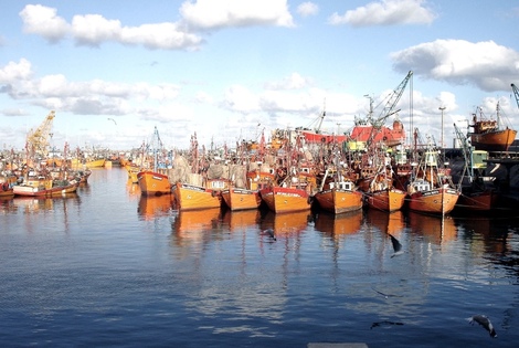 Imagen de Argentina volver&aacute; a exportar camarones y langostinos