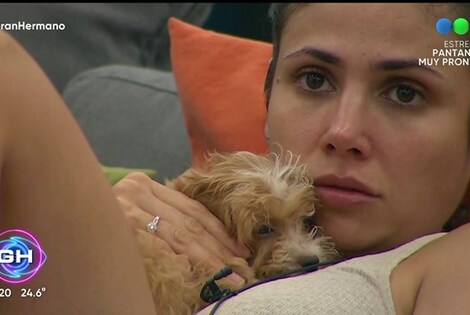 Imagen de Delmora y Caramelo, los nuevos integrantes de la casa