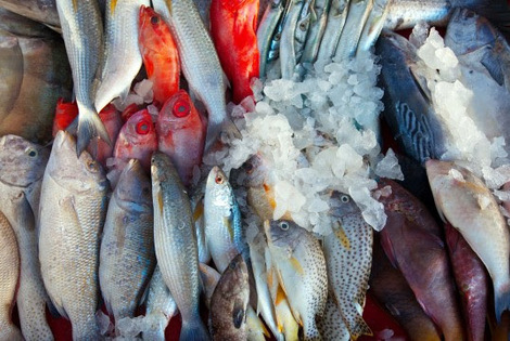 Imagen de Prevencion a la hora de comprar y consumir pescados