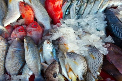 Imagen de Prevencion a la hora de comprar y consumir pescados Imagen de Prevencion a la hora de comprar y consumir pescados