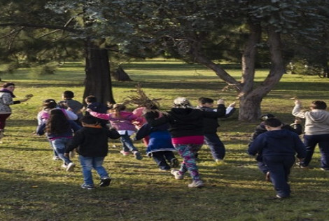 Imagen de Rosario celebra la Semana del Ambiente
