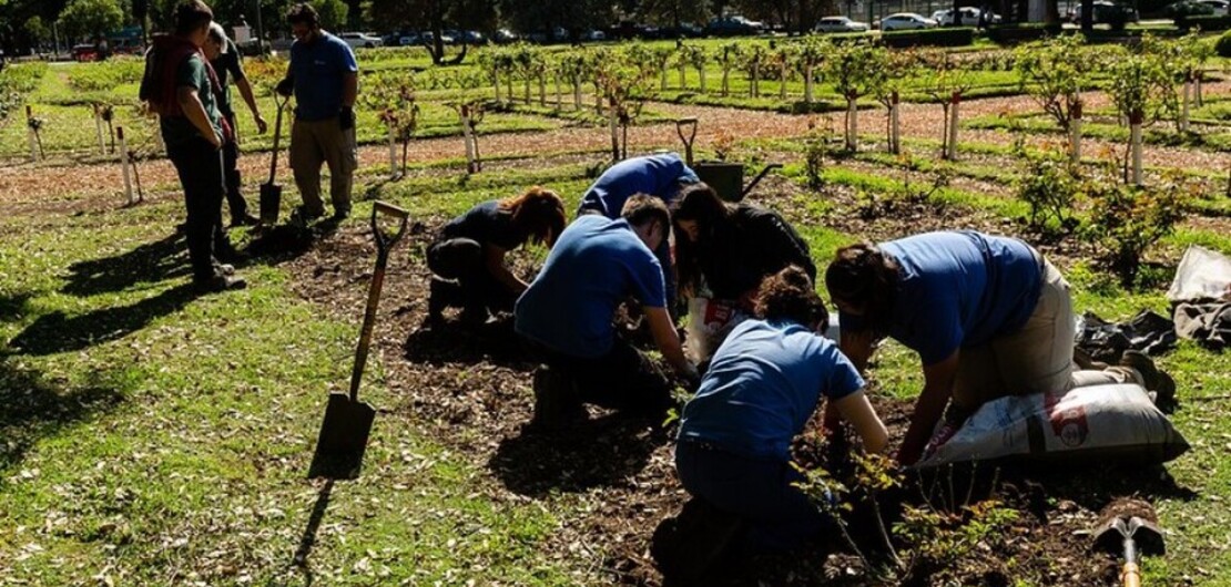 Imagen de El Rosedal plant&oacute; 530 nuevos ejemplares