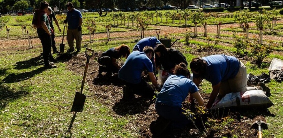 Imagen de El Rosedal plantó 530 nuevos ejemplares