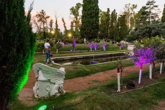 Imagen de Vuelven los picnics nocturnos a los parques