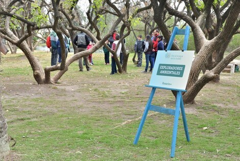 Imagen de El Bosque de los Constituyentes con visitas abiertas al público