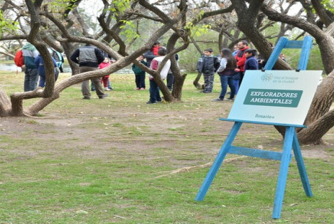 Imagen de El Bosque de los Constituyentes con visitas abiertas al público Imagen de El Bosque de los Constituyentes con visitas abiertas al público