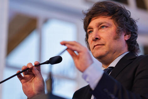 Imagen de Milei participar&aacute; del acto por el D&iacute;a de la Bandera