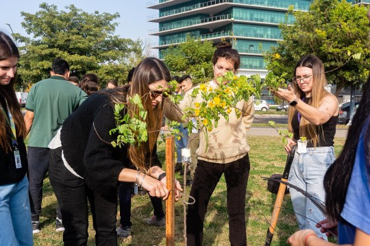 Imagen de «Semana del Árbol» con múltiples actividades