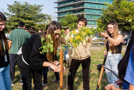 Imagen de &laquo;Semana del &Aacute;rbol&raquo; con m&uacute;ltiples actividades