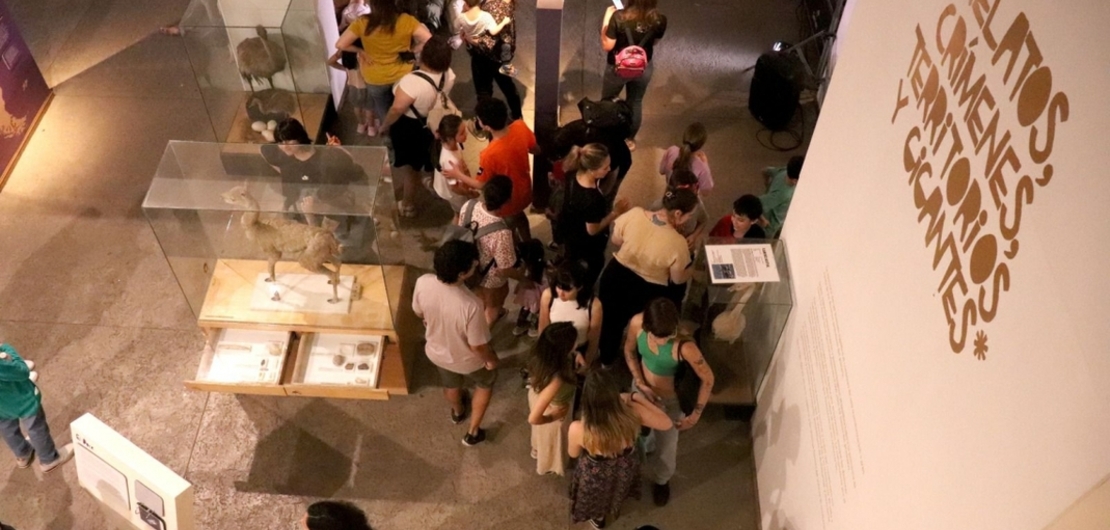 Imagen de Noche de los Museos en Rosario: más de 8 mil personas pasaron Imagen de Noche de los Museos en Rosario: más de 8 mil personas pasaron