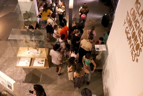 Imagen de Noche de los Museos en Rosario: m&aacute;s de 8 mil personas pasaron