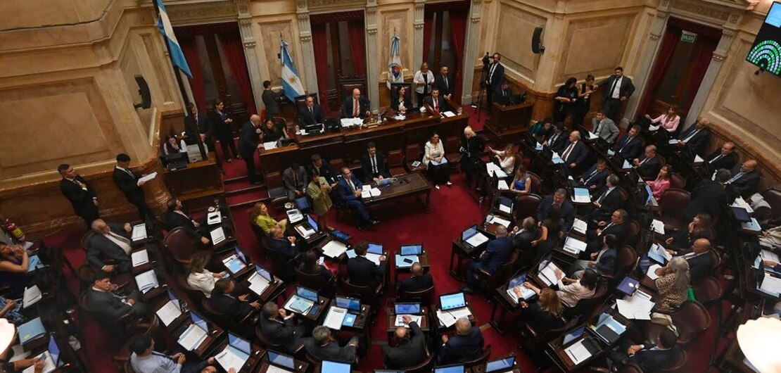 Imagen de El Senado convirtió en ley la suspensión de las PASO