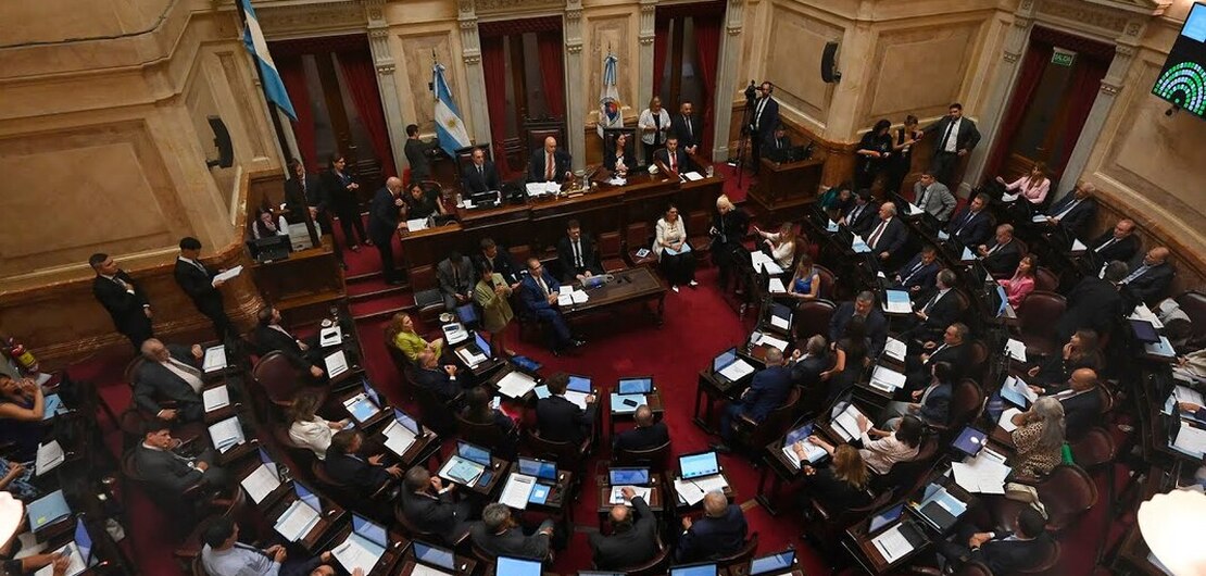 Imagen de El Senado convirti&oacute; en ley la suspensi&oacute;n de las PASO