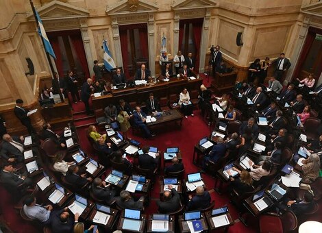 Imagen de El Senado convirtió en ley la suspensión de las PASO