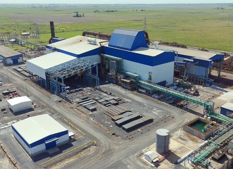 Imagen de Gerdau ya es Empresa B en Argentina y Uruguay