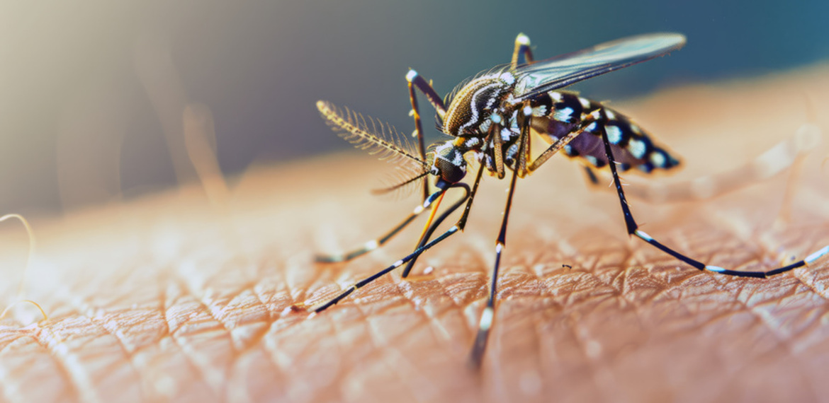 Imagen de El avance del dengue con la llegada de la primavera
