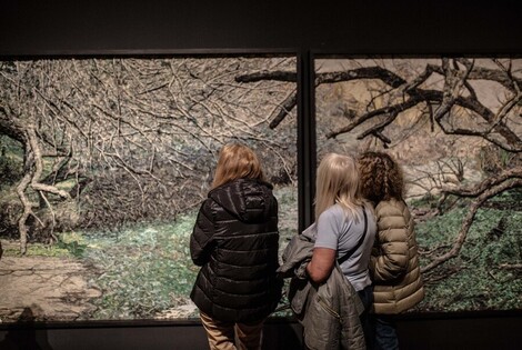 Fotos Argentina. Grupo Mondongo en Castagnino - Sec. de Cultura y Educaci&oacute;n (Guillermo Turin Bootello)