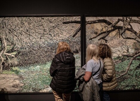 Fotos Argentina. Grupo Mondongo en Castagnino - Sec. de Cultura y Educación (Guillermo Turin Bootello) Fotos Argentina. Grupo Mondongo en Castagnino - Sec. de Cultura y Educación (Guillermo Turin Bootello)