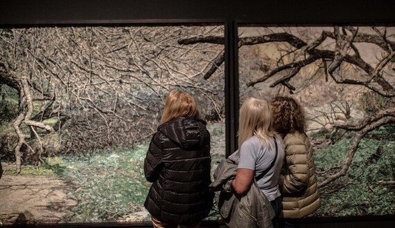 Fotos Argentina. Grupo Mondongo en Castagnino - Sec. de Cultura y Educación (Guillermo Turin Bootello)