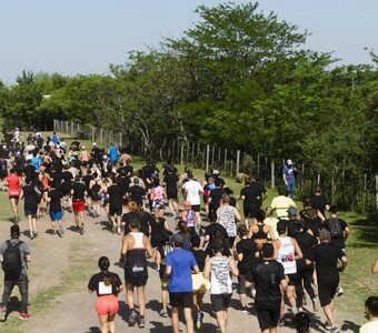 Imagen de llega la d&eacute;cima edici&oacute;n del Marat&oacute;n del Bosque