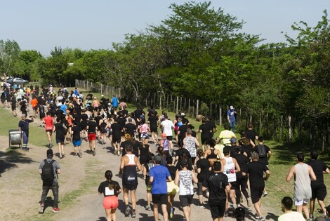 Imagen de llega la d&eacute;cima edici&oacute;n del Marat&oacute;n del Bosque