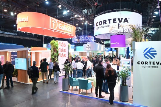 Imagen de ROSARIO TIENE UN AGOSTO CARGADO DE EVENTOS Imagen de ROSARIO TIENE UN AGOSTO CARGADO DE EVENTOS